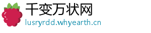 千变万状网